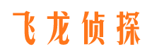 天桥市婚外情调查